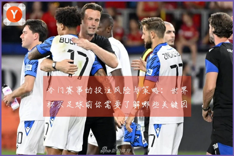 冷门赛事的投注风险与策略：世界杯买足球前你需要了解哪些关键因素