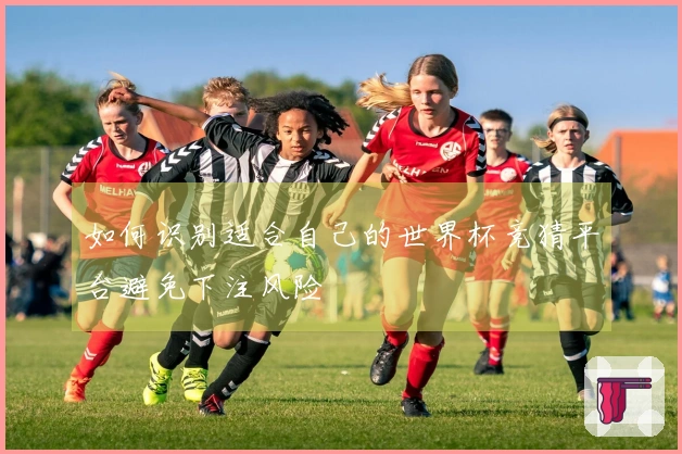 如何识别适合自己的世界杯竞猜平台避免下注风险