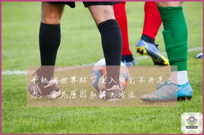 手机端世界杯下注入口打不开怎么办：常见原因和解决方法