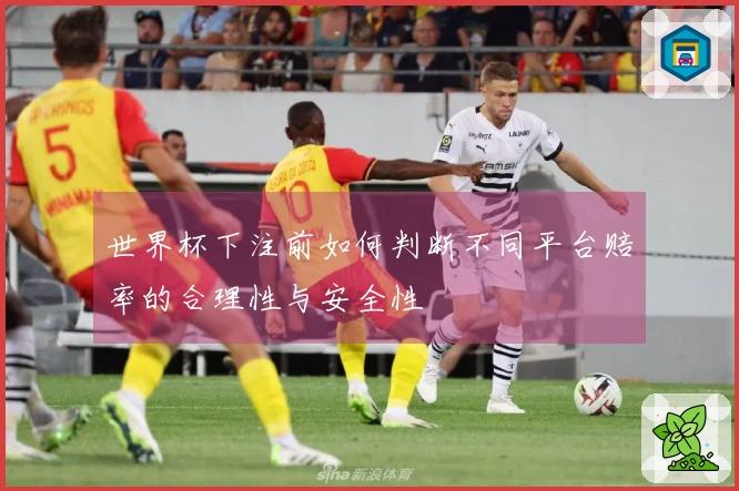 世界杯下注前如何判断不同平台赔率的合理性与安全性